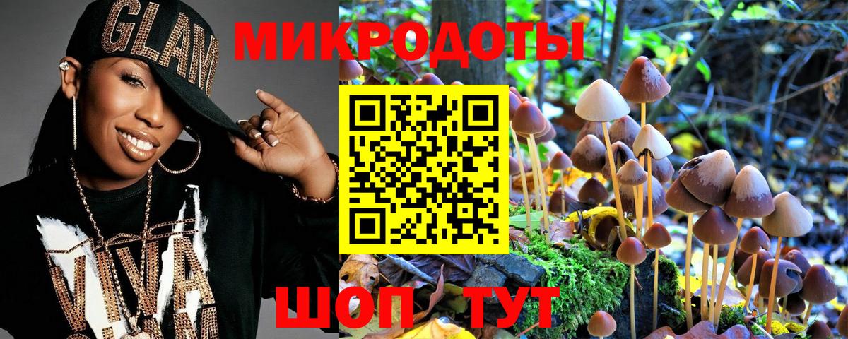 Псилоцибиновые грибы Psilocybine cubensis Верхняя Пышма